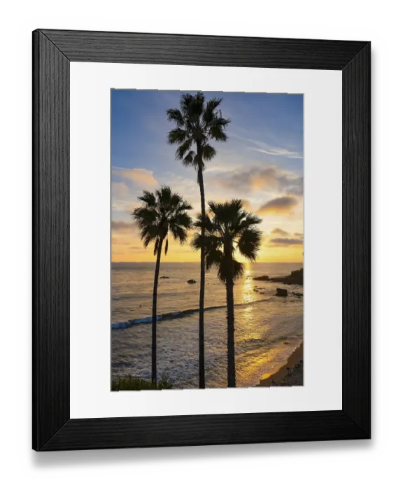 Framed Print : Three palm trees silhouetted against a vibrant Laguna Beach sunset Framed Print : Three palm trees silhouetted against a vibrant Laguna Beach sunset