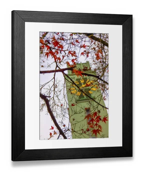 Framed Print : Olten Friedenskirche Church with Clock Tower and Tree Branch with Leaf in an Autumn Day in Olten