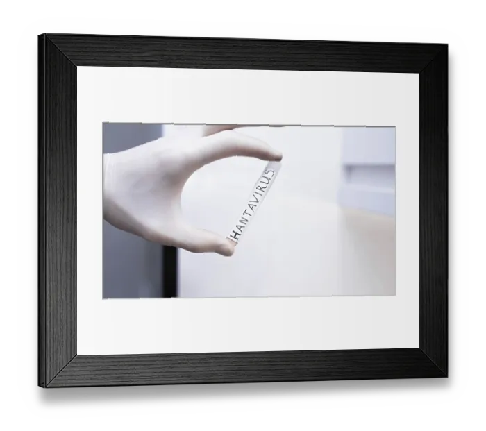 Framed Print : A gloved hand holding a Hantavirus test tube in a sterile lab setting