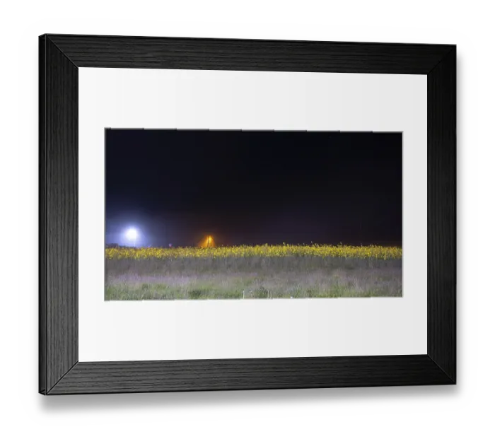 Framed Print : Field of yellow flowers illuminated by streetlights against a dark night sky Framed Print : Field of yellow flowers illuminated by streetlights against a dark night sky
