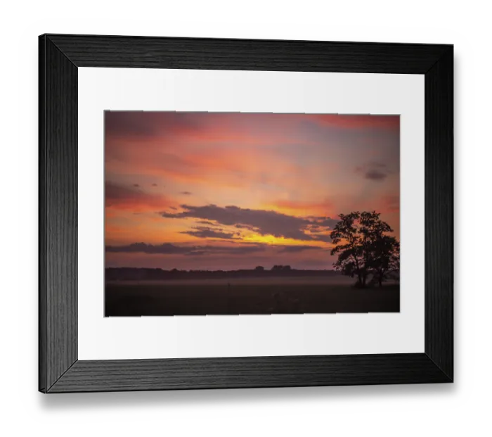 Framed Print : A peaceful sunset with silhouetted tree against a pink sky Framed Print : A peaceful sunset with silhouetted tree against a pink sky