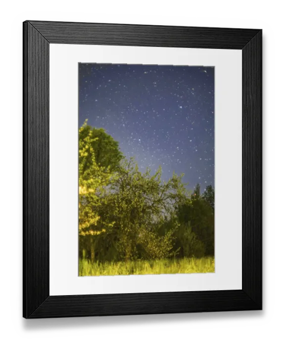 Framed Print : Starry night sky above trees evokes a serene atmosphere