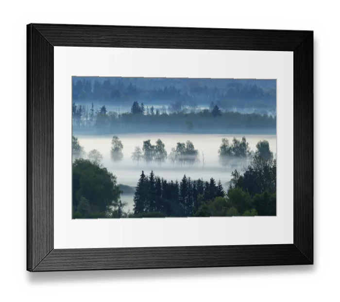 Framed Print : Early morning fog over the moor