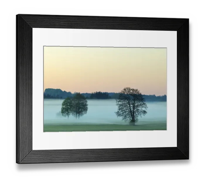 Framed Print : Early morning fog over the moor