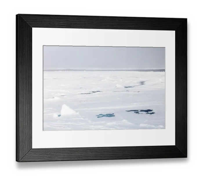 Framed Print : Sea ice at the ice edge, 82nd parallel