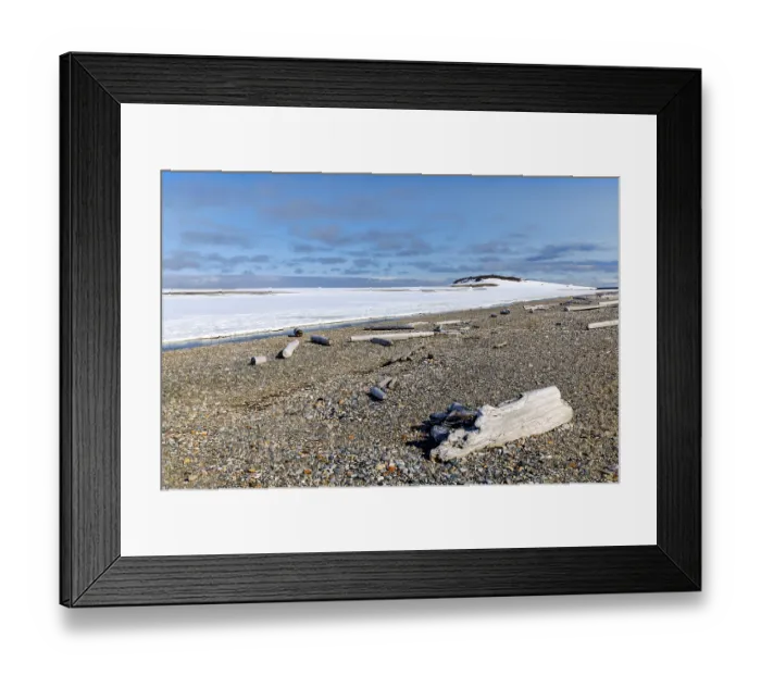Framed Print : Driftwood on a pebble beach, Kinvika Framed Print : Driftwood on a pebble beach, Kinvika