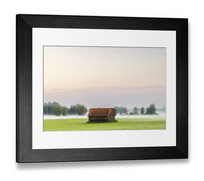 Framed Print : Wooden hut in wet meadow, fog, birch