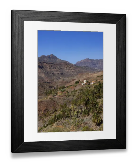 Framed Print : Palm grove near La Sorrueda and Barranco de Tirajana ravine Framed Print : Palm grove near La Sorrueda and Barranco de Tirajana ravine