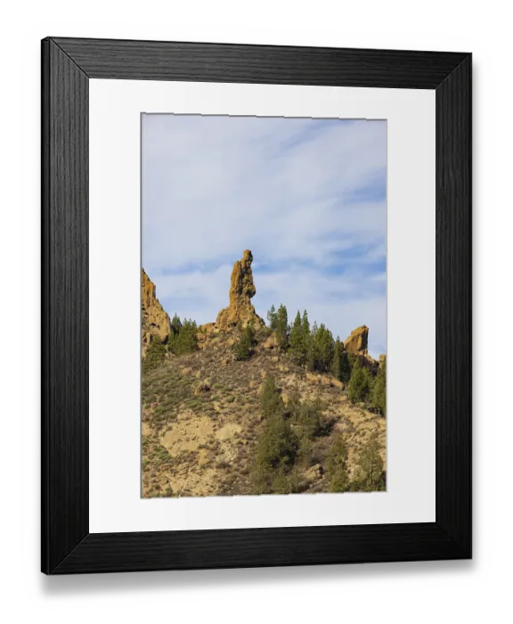 Framed Print : Rural del Nublo nature park Park Framed Print : Rural del Nublo nature park Park