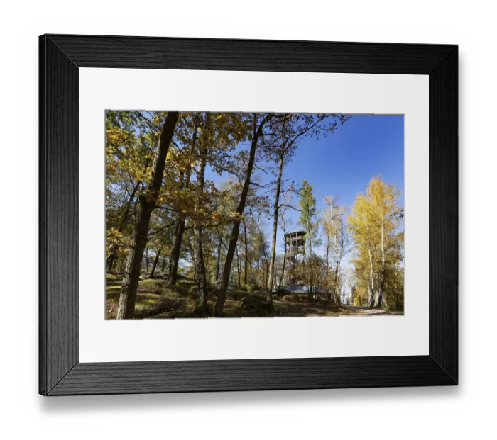 Framed Print : Observation tower in the Blockheide nature park Park near Gmund
