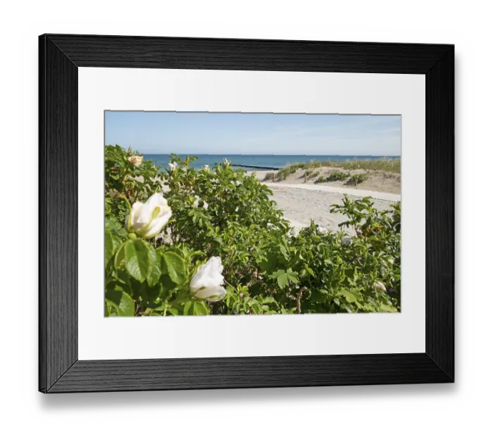 Framed Print : Beach access, beach, Baltic Sea Framed Print : Beach access, beach, Baltic Sea
