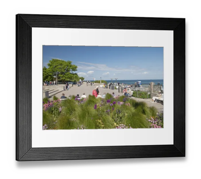 Framed Print : Flowers, pier forecourt, pier, Kuhlunsborn Ost Framed Print : Flowers, pier forecourt, pier, Kuhlunsborn Ost