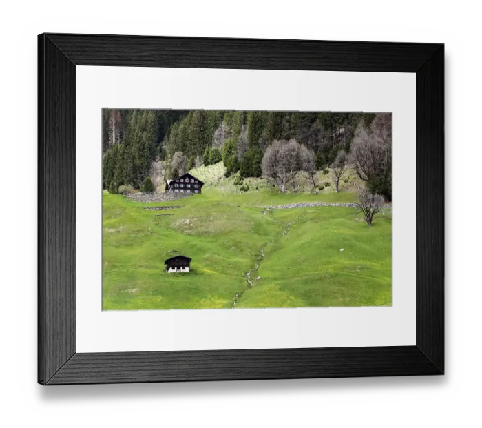 Framed Print : Typical farmhouses on a green meadow Framed Print : Typical farmhouses on a green meadow