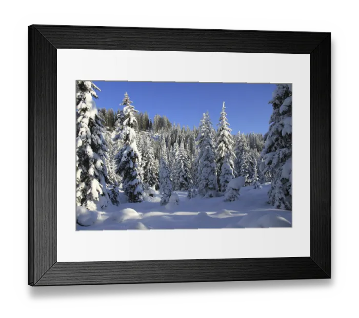 Framed Print : Covered in snow Framed Print : Covered in snow