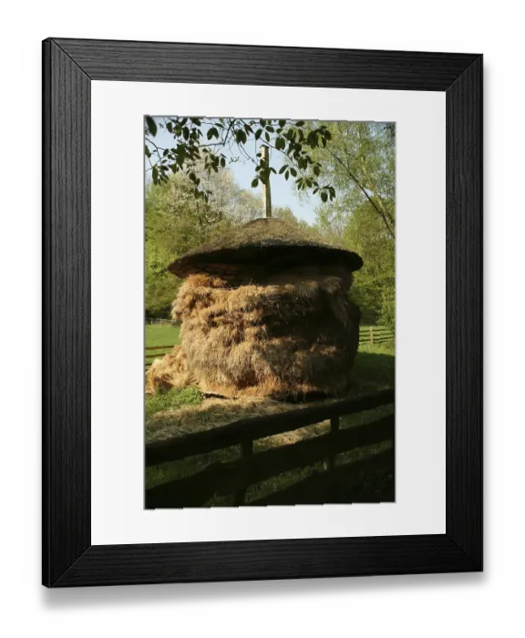 Framed Print : Traditional stockpiling on a farm Framed Print : Traditional stockpiling on a farm