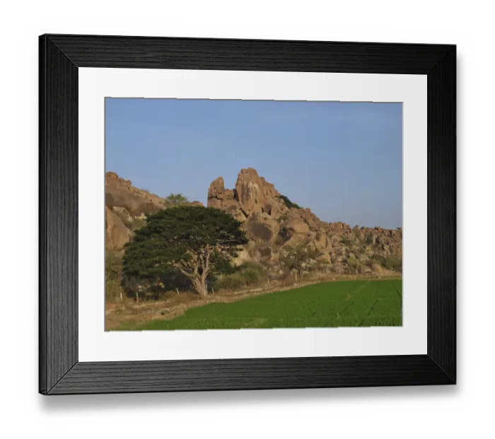 Framed Print : Granite mountains, tree and rice field