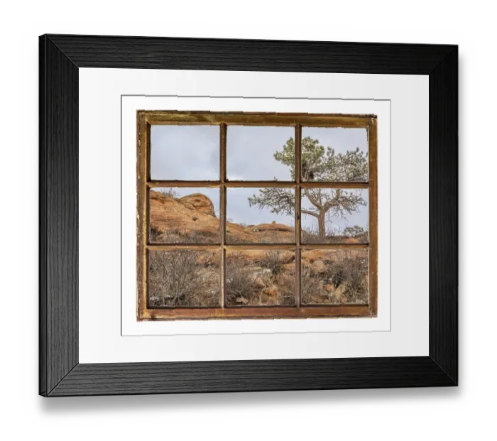 Framed Print : Pine tree with magpie nest on sandstone cliff