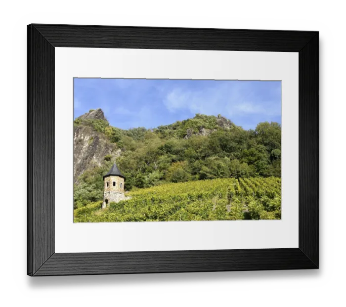 Framed Print : Landscape with vineyards under the Drachenfels