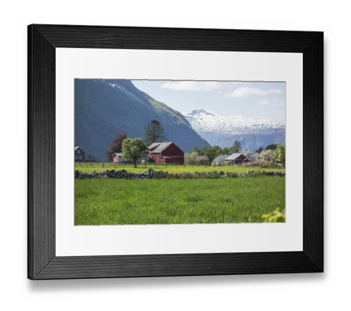 Framed Print : Red barn on a green meadow in front of snow-covered mountains and blossoming trees