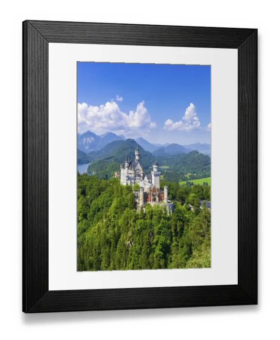 Framed Print : Neuschwanstein Castle in summer Framed Print : Neuschwanstein Castle in summer