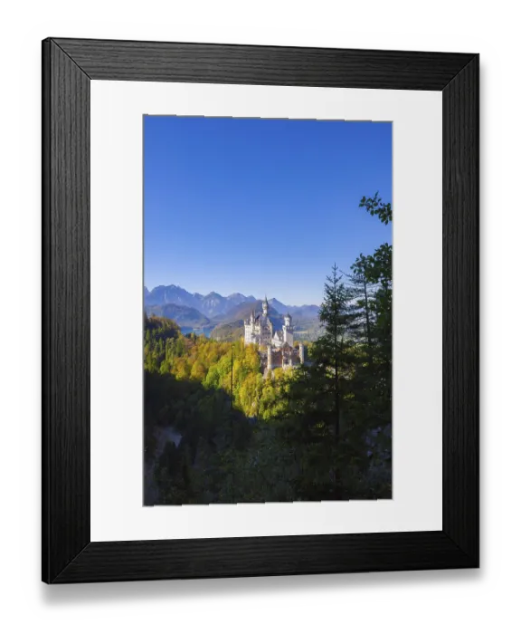 Framed Print : Neuschwanstein Castle in the midst of autumn forests with a majestic mountain backdrop under a clear sky Framed Print : Neuschwanstein Castle in the midst of autumn forests with a majestic mountain backdrop under a clear sky
