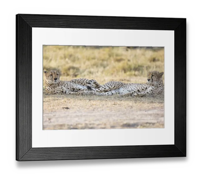 Framed Print : Abstract, active, activity, africa Framed Print : Abstract, active, activity, africa