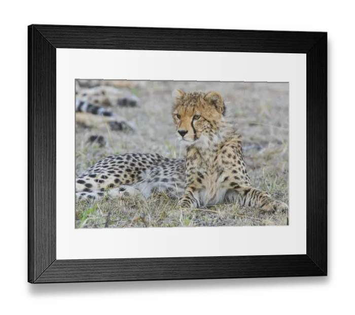 Framed Print : Abstract, active, activity, africa
