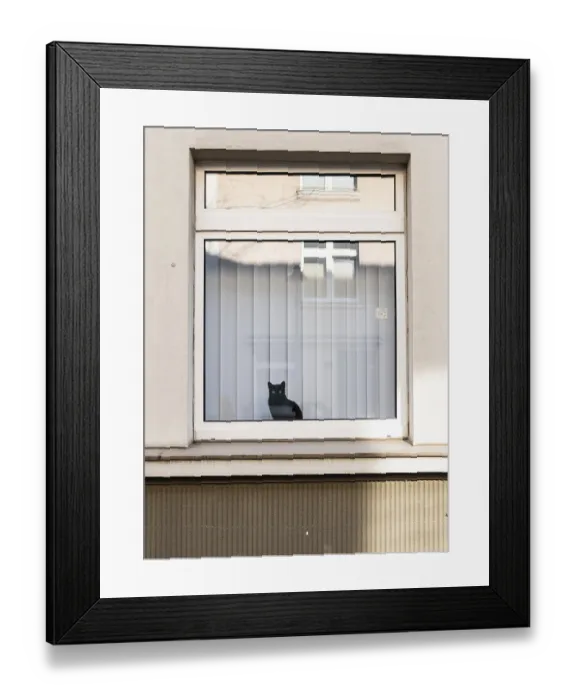 Framed Print : A black cat in a window, symbolic image Framed Print : A black cat in a window, symbolic image