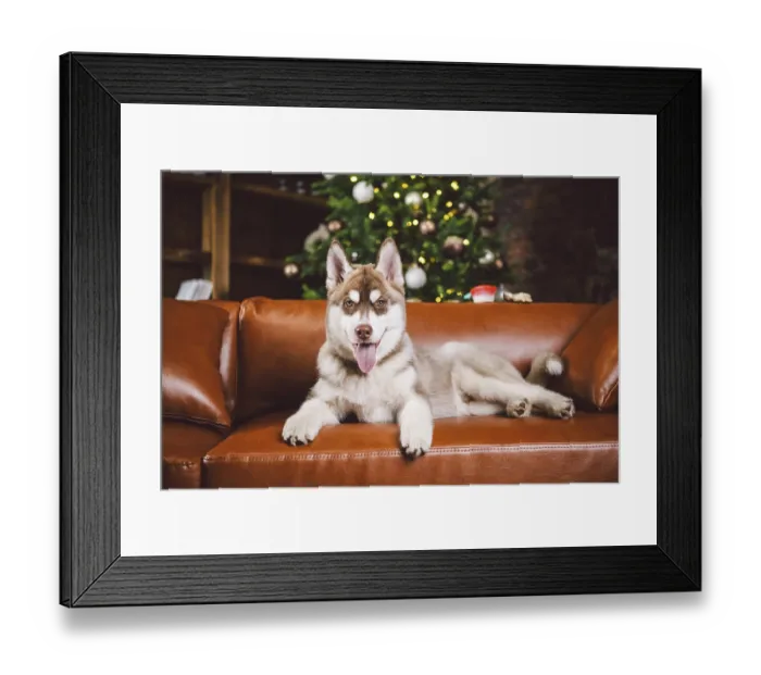 Framed Print : Pet and merry christmas and happy new year concept Framed Print : Pet and merry christmas and happy new year concept