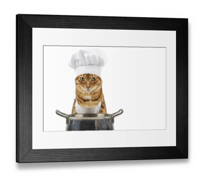Framed Print : Domestic cat near an aluminum pan with food on a white background