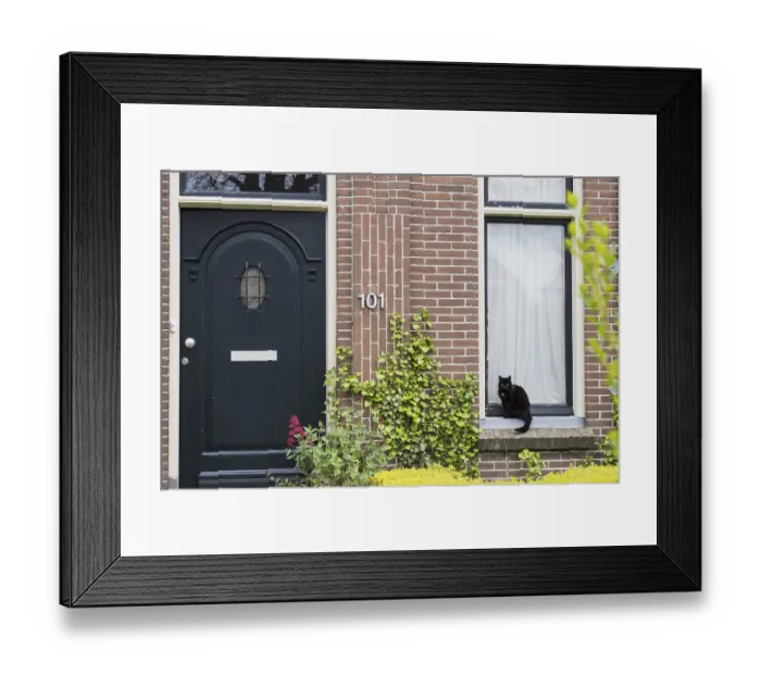 Framed Print : Black cat sitting on window sill Framed Print : Black cat sitting on window sill