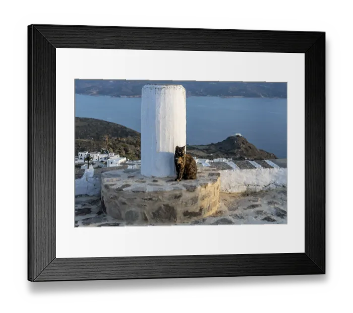 Framed Print : Cat sitting next to a column on a stone wall