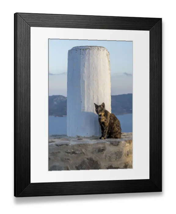 Framed Print : Cat sitting next to a column on a stone wall Framed Print : Cat sitting next to a column on a stone wall