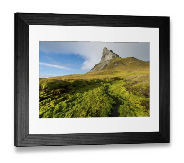 Framed Print : Alkhornet mountain, Trygghamna bay
