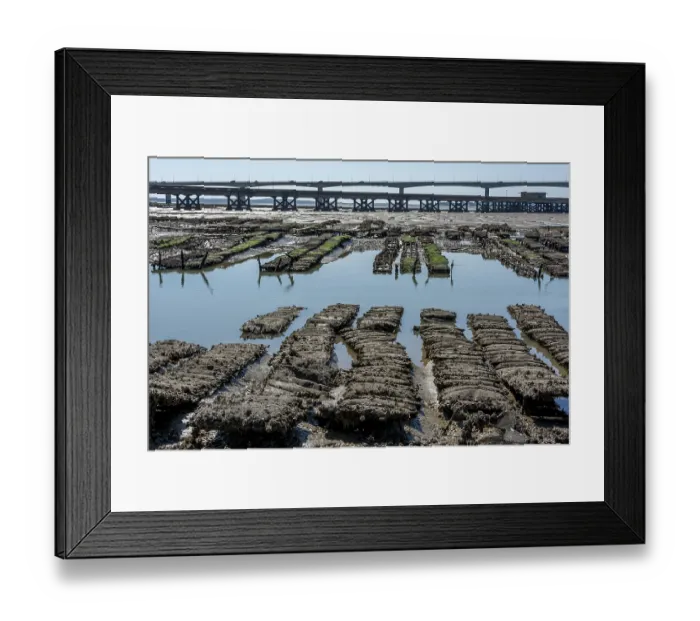 Framed Print : Oyster beds and Oleron bridge, Fort Louvois at Bourcefranc le Chapus