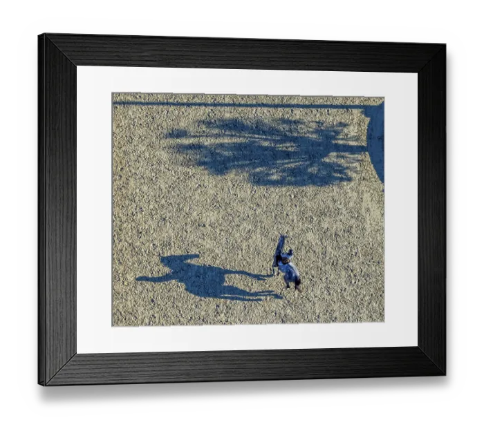 Framed Print : Aerial view, riding training at the riding centre Zucht-Reit und Fahrverein e