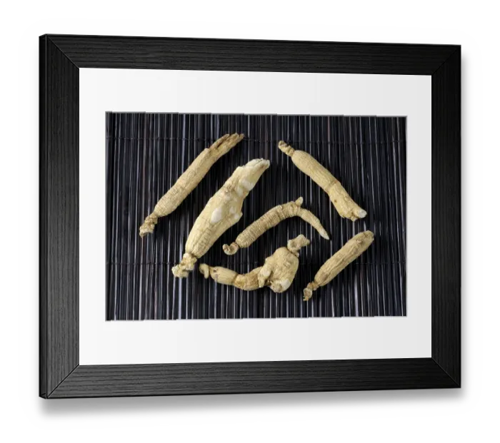 Framed Print : Genuine ginseng root dried, Ginseng