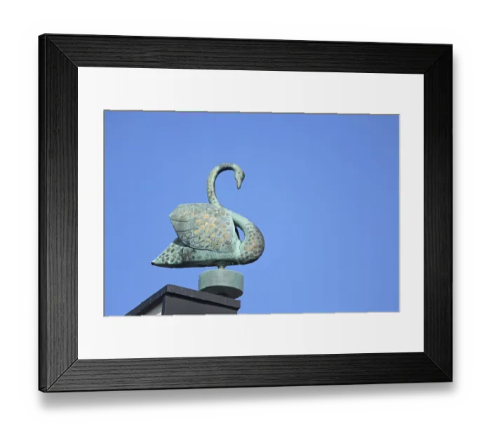 Framed Print : Mute swan sculpture on the roof of the Schwanberg monastery