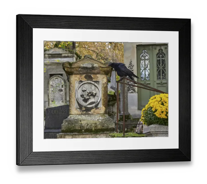 Framed Print : A raven in front of a tomb, Pere Lachaise Cemetery Paris