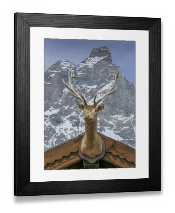 Framed Print : Deer Head, Chalet Etoile, Plan Maison