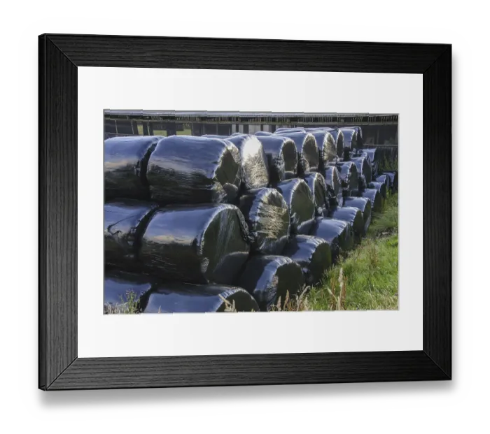 Framed Print : Black plastic-wrapped silage big bales