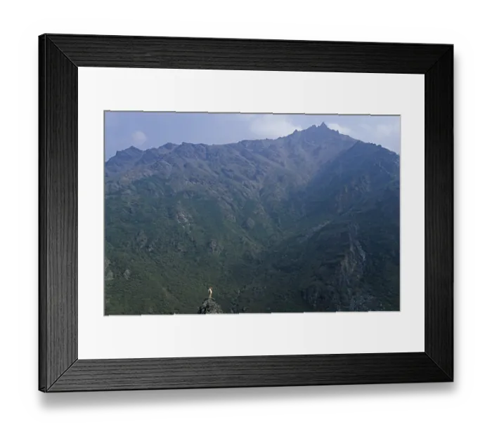 Framed Print : Dall Sheep (Ovis dalli) ram standing on a rock shelter (Alaskan snow sheep)