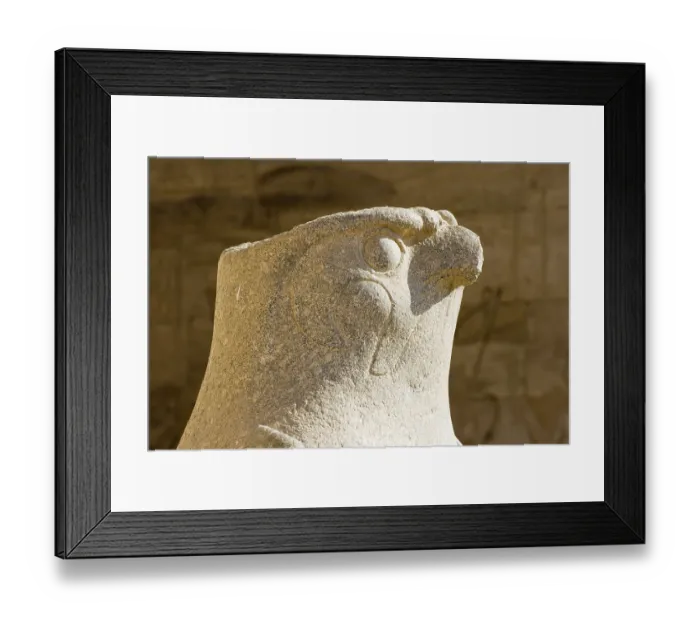 Framed Print : Falcon statue of the god Horus