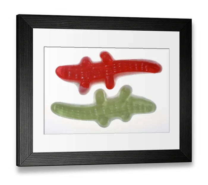 Framed Print : Wine gums, crocodile jujubes