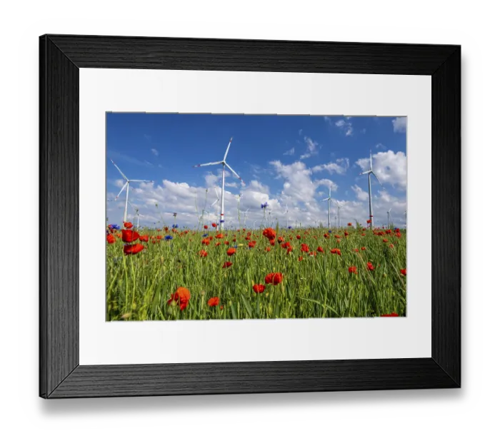 Framed Print : Wind farm, field with flower strips