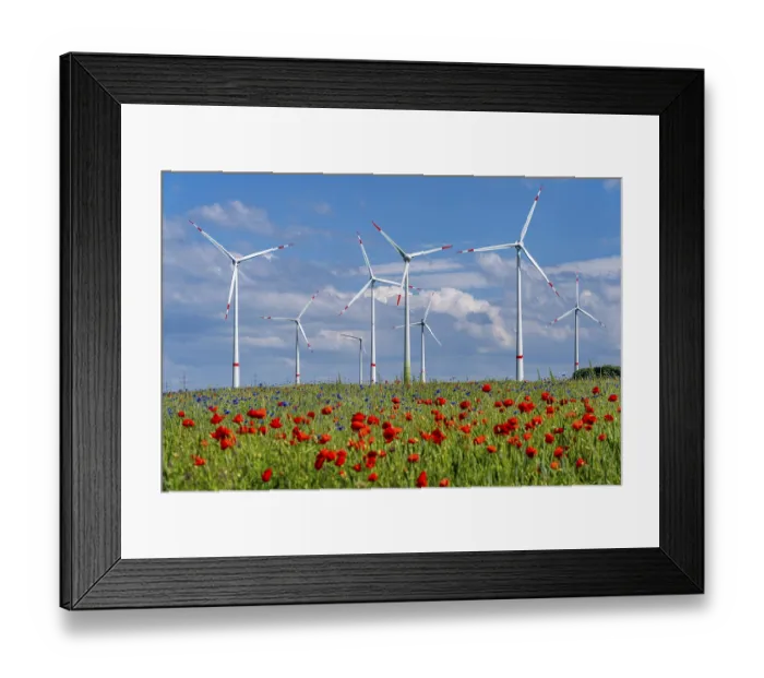 Framed Print : Wind farm, field with flower strips Framed Print : Wind farm, field with flower strips