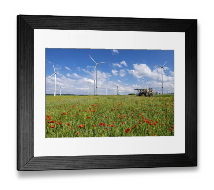 Framed Print : Wind farm, field with flower strips