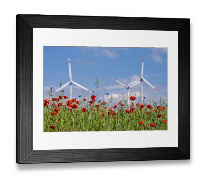 Framed Print : Wind farm, field with flower strips