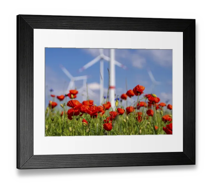 Framed Print : Wind farm, field with flower strips