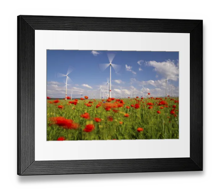 Framed Print : Wind farm, field with flower strips